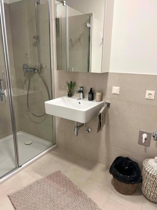 Donaublick Oasis: Stylische Wohnung Wina Bagian luar foto