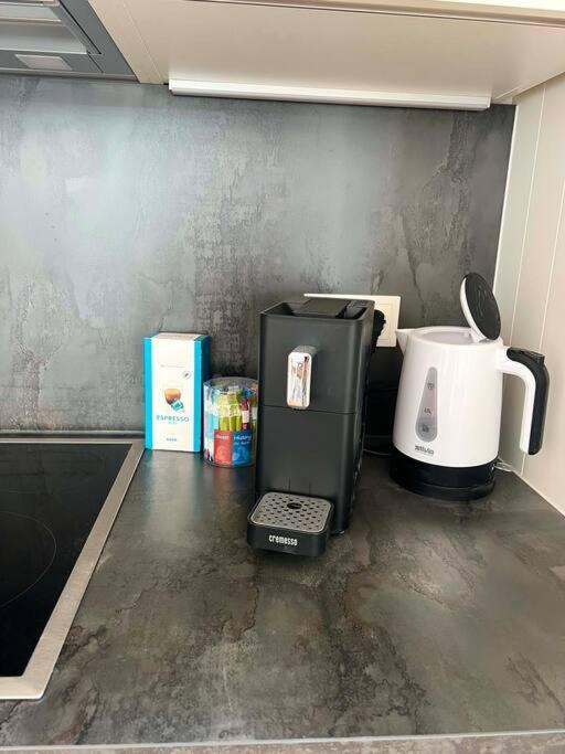 Donaublick Oasis: Stylische Wohnung Wina Bagian luar foto